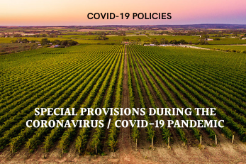 Our Covid-19 Policies